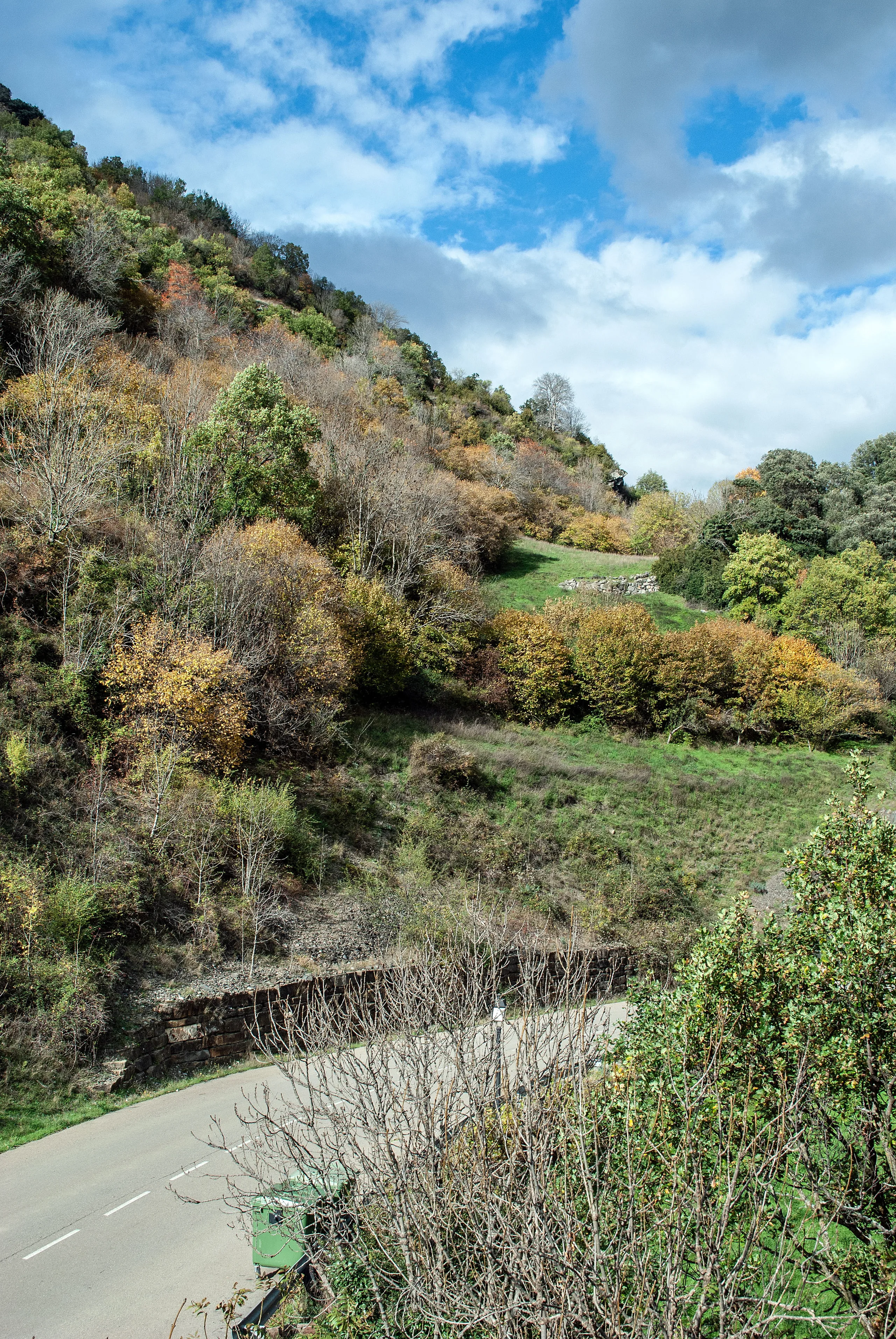 El valle de Chistau desde el pueblo, con la ladera boscosa y el río abajo